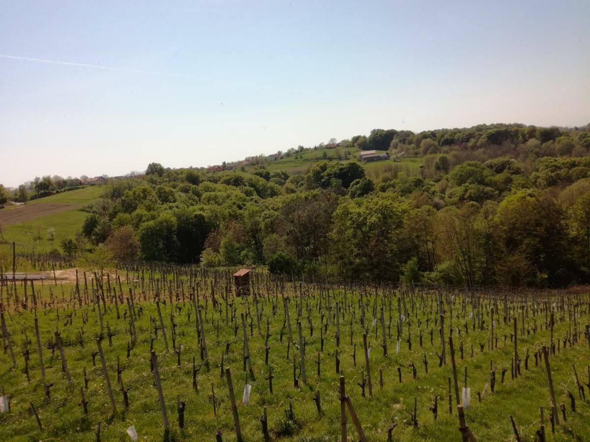 Villa Kuca Za Odmor ,,Oletic 2" Sveti Martin Na Muri Exterior foto
